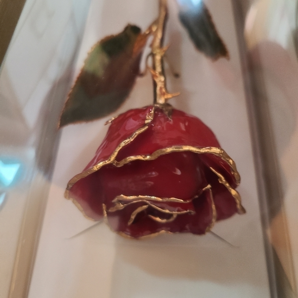 Real rose preserved in 24k gold